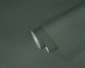 250728