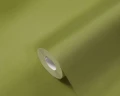 250825