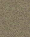 250113