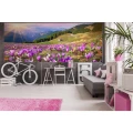 278211
