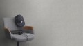 1907ff9cd3f70423a922601896ba6d5d