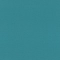 88c1f9b6e6fe73e1a53dd7d2d16556e9