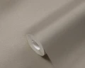 259281