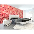 229306
