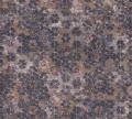 233881