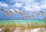 FotoTAPETA 8-515 Ocean Breeze