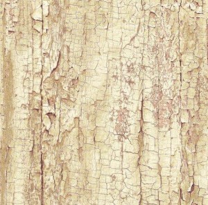 Okleina Meblowa 13774 / Gekkofix tree shell szer 45 cm