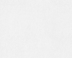 TAPETA 9293-10 MEISTERVLIES