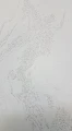 239029