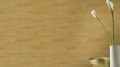 243609