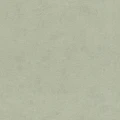 244058