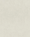 244219