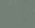 250729