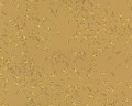 9ba3e72b77b846447b26e04108fd2dcb