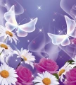 ae2752300bdc147bd82d84d956b57747