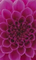 fec5281203b5d31b59e731a2bf593950