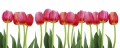 f5cbf9d3cd58af621a14022126c768e0