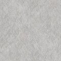 295299