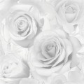 07d0189e3861ff4d053af97eb7892d88
