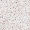 Okleina Meblowa 56522 Venilia Simple Terrazzo szer 67,5 cm