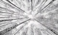 d5cd3041e6956e29d0edb168ac647177