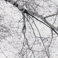 01a6c4d0685b6f9ebd5f8061c3e42e97