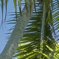 e05c0ceb858723bd373cc7b06ce976cf