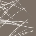 2d4a6f0ba2823be27db0e35398041aa2