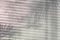 9fcde55a256c3c0db818e1123dc2bfa9