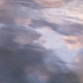 d6173170b19ed04da7b6fe20d1fe6b83