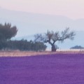 a9a3e90797bfe990d6c650d88464ef7f