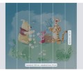 FOTOTAPETA DX6-033 Winnie Pooh Picnic