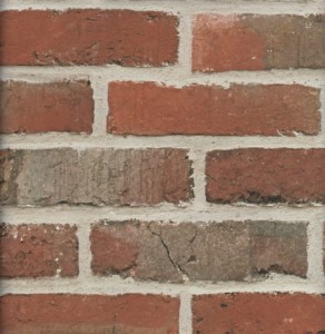 TAPETA J449-18 TOP TREND