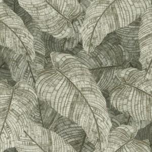 TAPETA 720549 AMARA