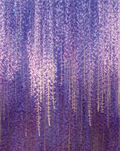 MURAL ML6501 YOUNG EDITION
