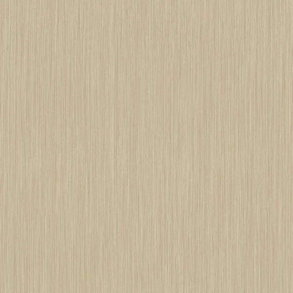 49c4d60ff92762ff9436a2127427c51e