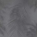 TAPETA 219552 BN Dimensions