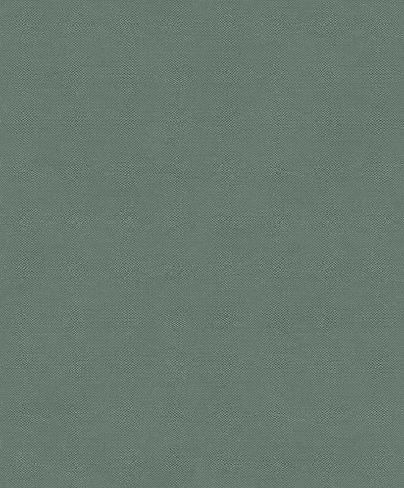 TAPETA RYT007 Spirit of Nature - LYS /RYTHM