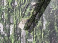 45731_marburg-struktura-45731-vliestapete_5.jpg