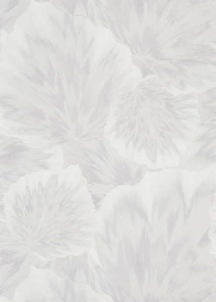 1550a84675950b01a86028303453f7cf