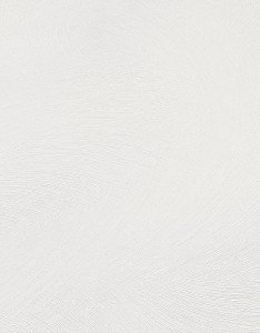 Tapeta 10403-01 Spotlight 2