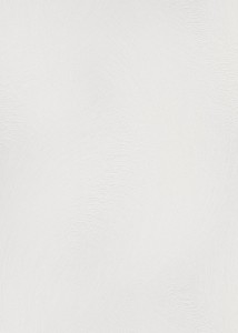 TAPETA 12199-01 SPOTLIGHT 2 szer. 106 cm