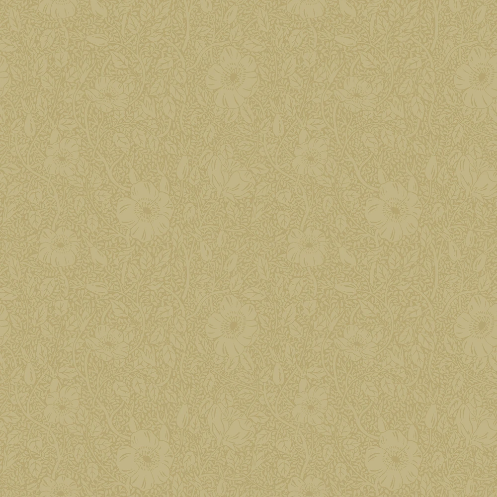 6268069a600b9dce020a09cb37b58bc6