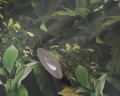 1cd664ee7c80059080aab18afd619898