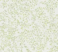 b3145744ed5185963edc3348622f54cd
