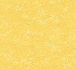 Tapeta 7893-72 ARCHIWUM AS