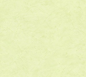 Tapeta 9925-43 Styleguide Naturlich