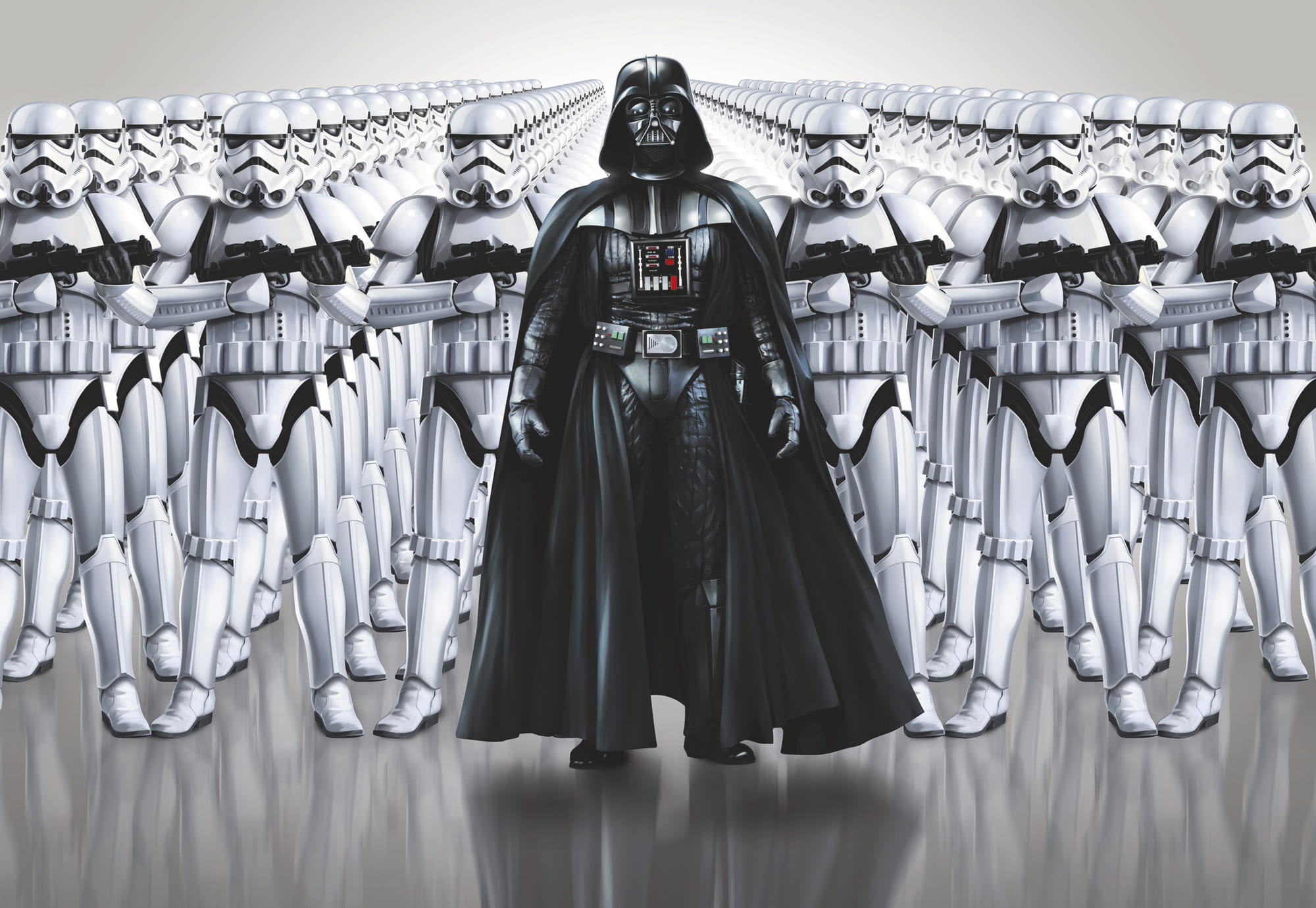 Fototapeta 8-490 STAR WARS IMPERIAL FORCE