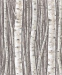 Tapeta 35394 Timber