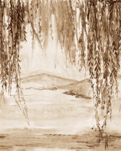 FOTOTAPETA MURAL ŚCIENNY 360813 MAGIC WALLS